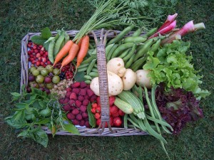 Vegetables and Fruit from the garden